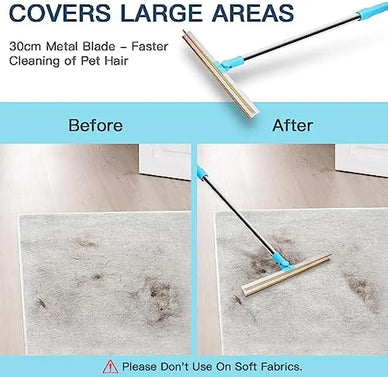 Breathe Easy in a Fur-Free Home